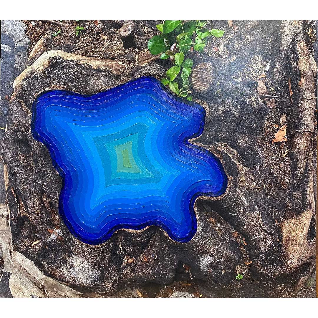 Série Re-existir - fui azul e verde